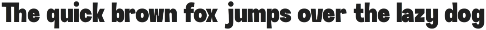 GC Neue Avenier - Bold Display Sans preview