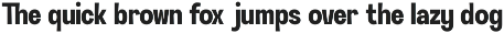 GC Neue Avenier - Bold Display Sans preview