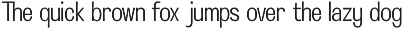 GC Neue Avenier - Bold Display Sans preview