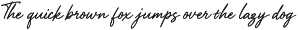 AIRFI - Signature Luxury Handwriten preview