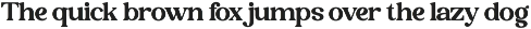 Rostale - Elegant Retro Serif Font preview