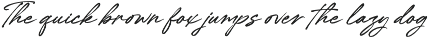 The Hantwels Signature Handwritten preview