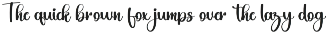 Gemini preview