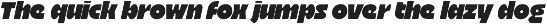 Bolte Sans Serif preview