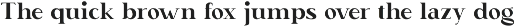 Delusion – Elegant Serif Font preview