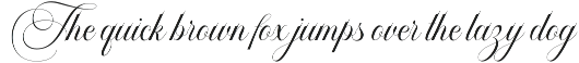 Gotham Calligraphy preview