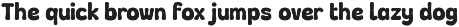 Chartoon - Playful Display Font preview