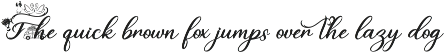 Beautiful Monogram Bundle preview