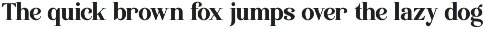 Family Luxury Serif Font - Quinela preview