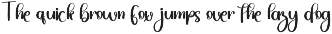 Mental preview