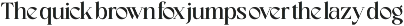 Excite Brands Modern Editorial Serif preview