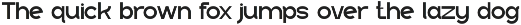 Wahoya - Corporate Logo Font preview