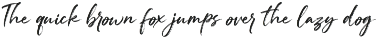Sackline – Modern Handbrush Font preview