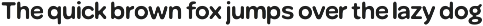 Ciruela | Chunky Round Display Sans preview
