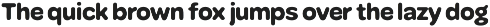 Ciruela | Chunky Round Display Sans preview