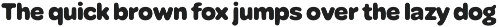 Ciruela | Chunky Round Display Sans preview
