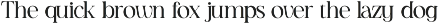 Vardigo - Minimalist Serif Typeface preview