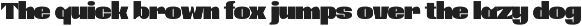Muach Bold – Retro Display Font preview