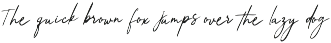 Handwritten Script Font preview