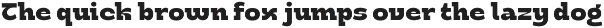 Calico - Bold Playful Serif Font preview