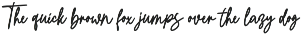 Messy Platters | Cursive Casual Font preview