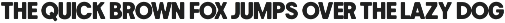 Rustic Wildflower - Playful Font Duo preview