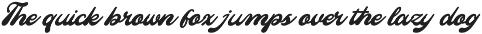 Mainer Wisdom | Retro Bold Script preview