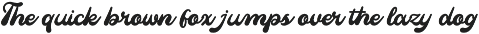 Mainer Wisdom | Retro Bold Script preview