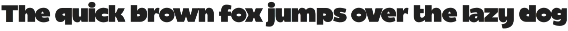 Migurih Bold Food Display Font preview