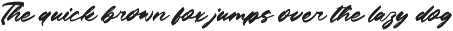 Century Man Bold Calligraphy Font preview