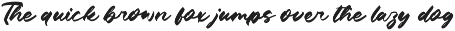 Century Man Bold Calligraphy Font preview