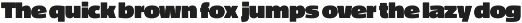 Vlafien preview