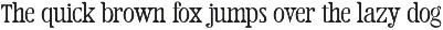 Neue Rekord Typeface - Display Fonts preview