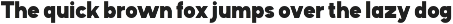 Segala - Family Sans Font preview