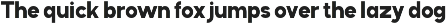 Segala - Family Sans Font preview