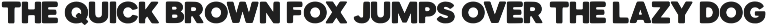 Briarhill Font Duo preview