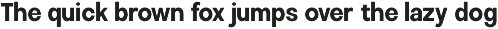 Calven - Family Modern Sans Font preview