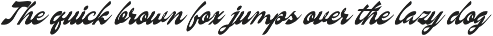 Nevroda Wisdom | Vintage Bold Script preview