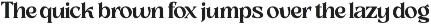 Slow Bar Stories Display Serif preview