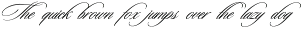 New Freya - Modern Classic Script font preview