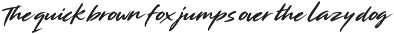 Show Your Dignity | 03 Font font preview