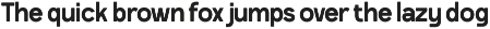 Tirah Monk – Script & Sans Font Duo preview