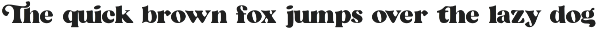 The Grand Serif Collection - 8 Bold preview