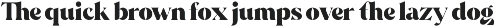 The Grand Serif Collection - 8 Bold preview
