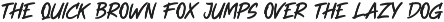Travis Brush Font preview