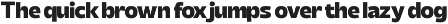 Afinity Slack Bold Sans Serif preview