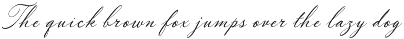 Prime Academy - Vintage Font Trio preview