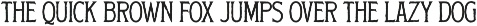 Summer Archive Font Collection preview