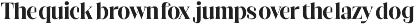 Daily Vibrant Bold Tall Serif preview