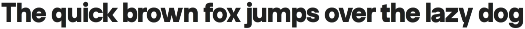 Neue Celso - Family Sans Serif preview